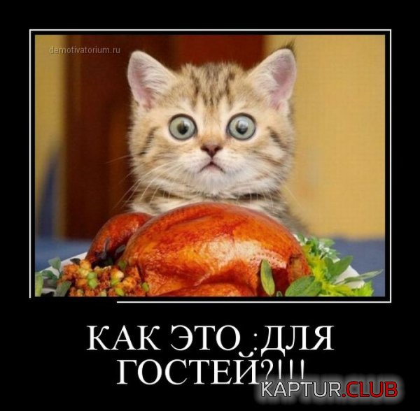 1376039132_demotivatory_16.jpg | Рено Каптур Клуб Россия | Форум KAPTUR.SU