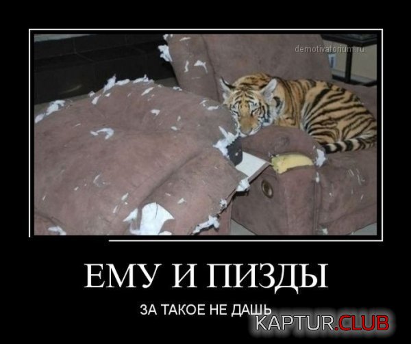 1377077903_demotivatory_03.jpg | Рено Каптур Клуб Россия | Форум KAPTUR.SU