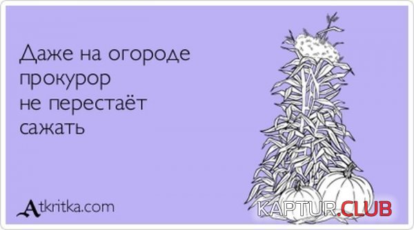 1377851693_atkrytka_34.jpg | Рено Каптур Клуб Россия | Форум KAPTUR.SU