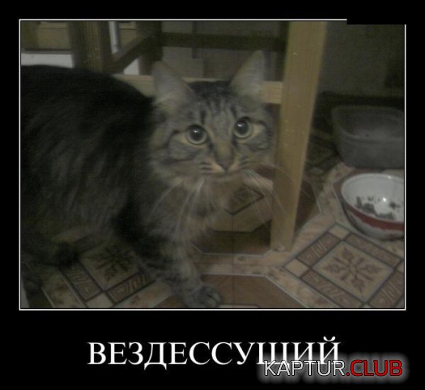 1378459772_demotivatory_24.jpg | Рено Каптур Клуб Россия | Форум KAPTUR.SU