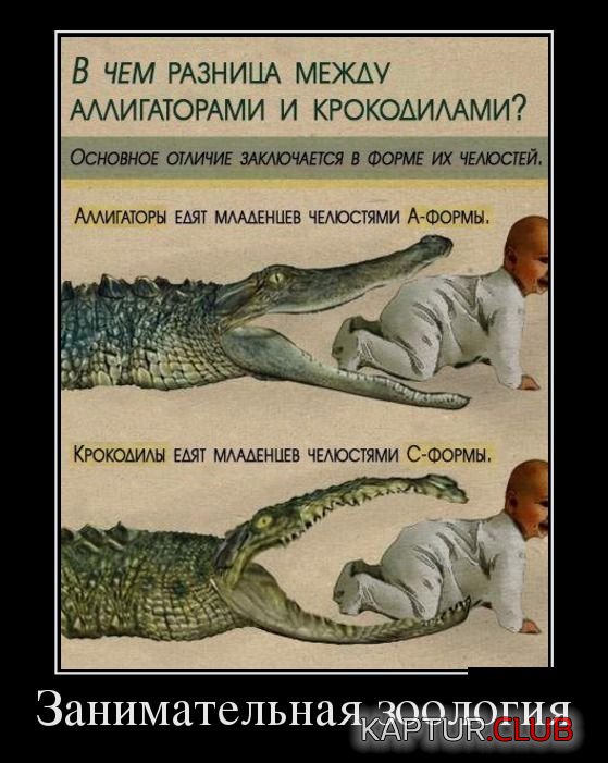 1378805011_demotivatory_16.jpg | Рено Каптур Клуб Россия | Форум KAPTUR.SU