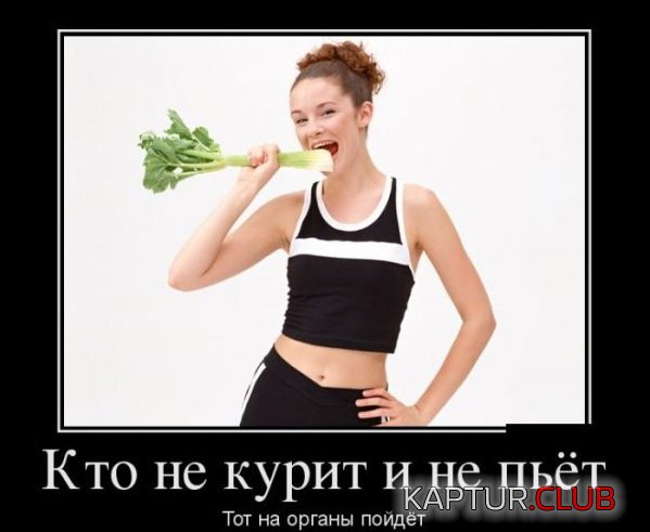 1379325600_demotivatory_03.jpg | Рено Каптур Клуб Россия | Форум KAPTUR.SU