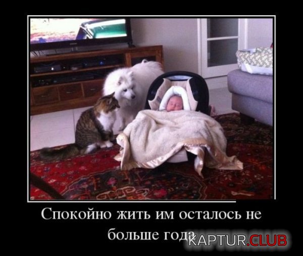 1380013500_demotivatory_21.jpg | Рено Каптур Клуб Россия | Форум KAPTUR.SU
