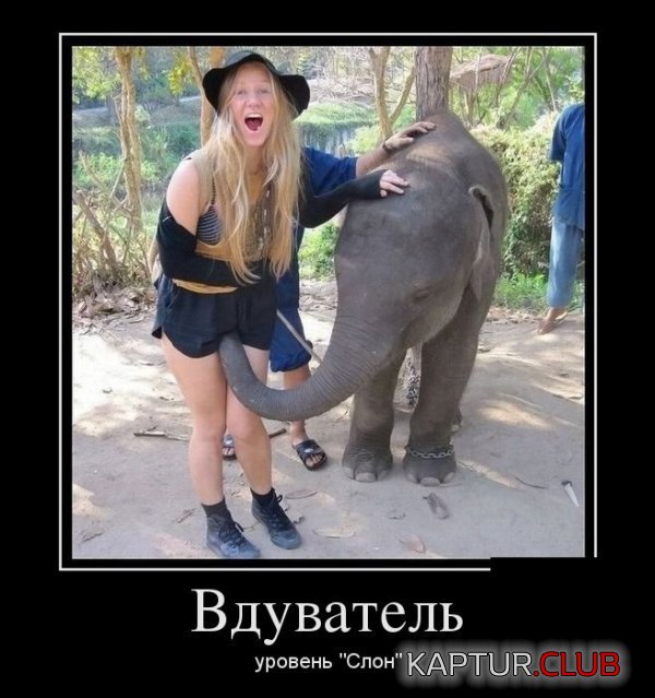 1380186496_demotivatory_17.jpg | Рено Каптур Клуб Россия | Форум KAPTUR.SU