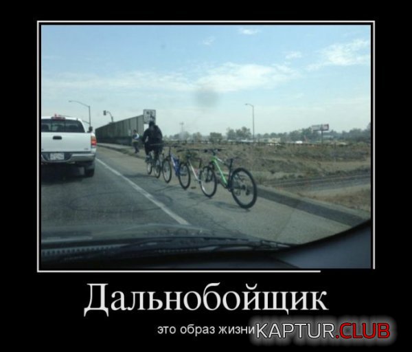 1380618543_demotivatry_13.jpg | Рено Каптур Клуб Россия | Форум KAPTUR.SU