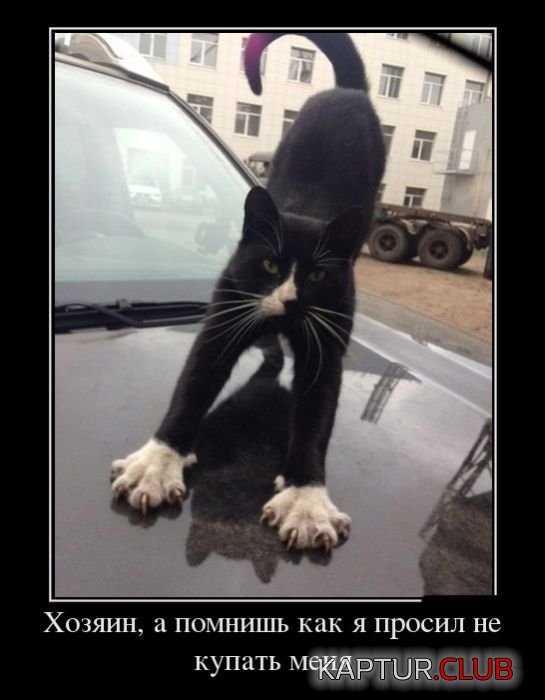 1380618568_demotivatry_15.jpg | Рено Каптур Клуб Россия | Форум KAPTUR.SU