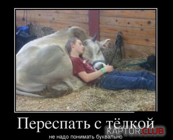 1380618579_demotivatry_23.jpg | Рено Каптур Клуб Россия | Форум KAPTUR.SU