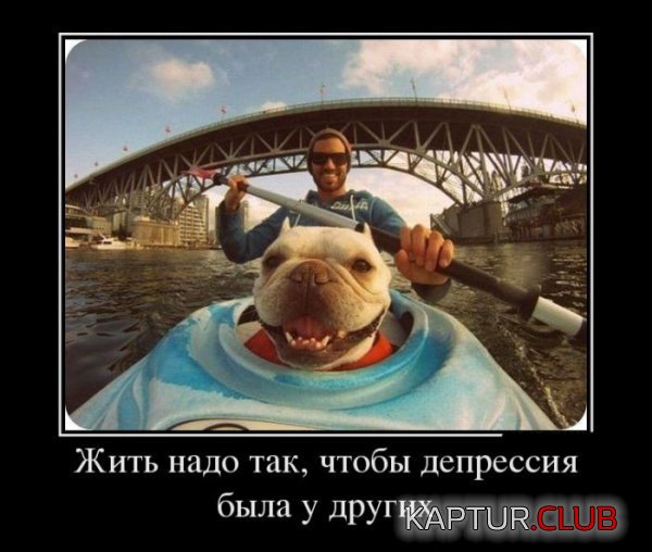 1380618585_demotivatry_21.jpg | Рено Каптур Клуб Россия | Форум KAPTUR.SU