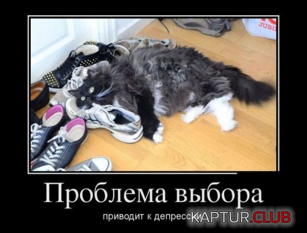 1380778433_demotivatory_04.jpg | Рено Каптур Клуб Россия | Форум KAPTUR.SU