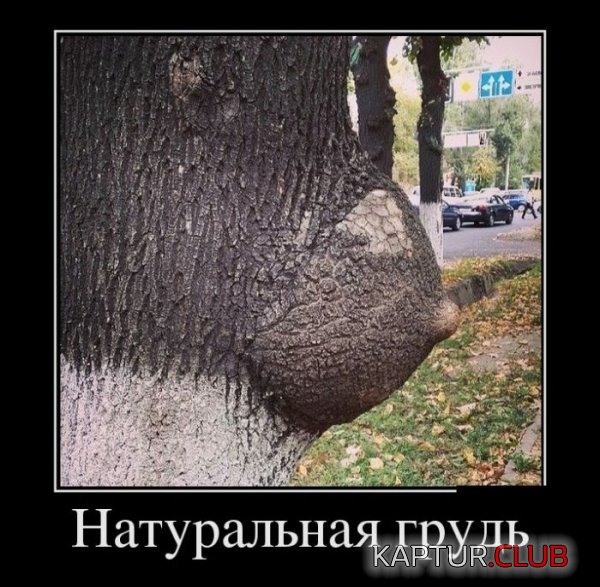1380778482_demotivatory_06.jpg | Рено Каптур Клуб Россия | Форум KAPTUR.SU