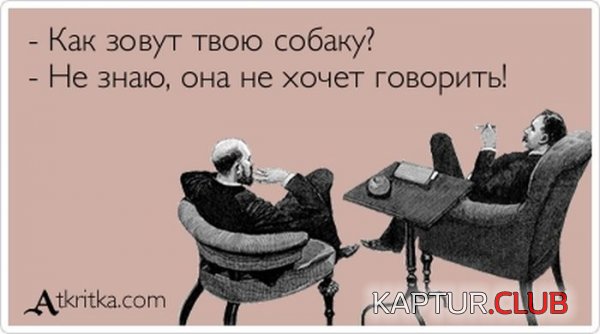 1381302696_atkritka_07.jpg | Рено Каптур Клуб Россия | Форум KAPTUR.SU