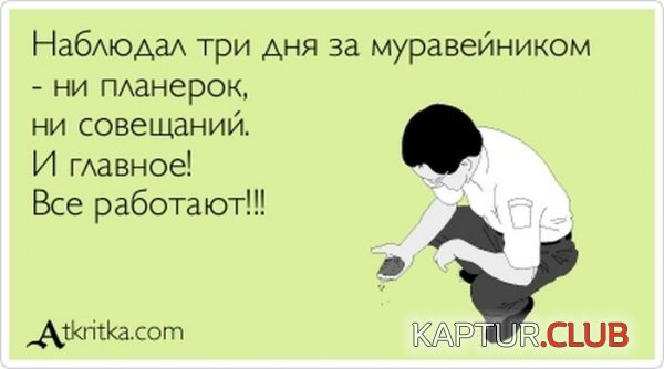 1381302704_atkritka_24.jpg | Рено Каптур Клуб Россия | Форум KAPTUR.SU