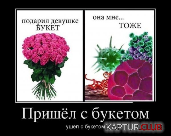1381479684_demotivatory_09.jpg | Рено Каптур Клуб Россия | Форум KAPTUR.SU