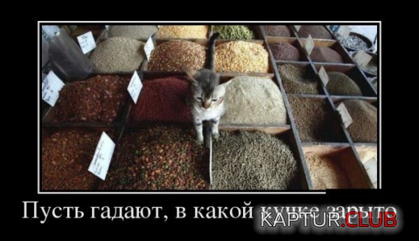 1381479852_demotivatory_25.jpg | Рено Каптур Клуб Россия | Форум KAPTUR.SU