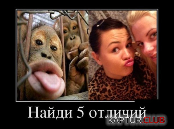 1381915987_demotivatory_16.jpg | Рено Каптур Клуб Россия | Форум KAPTUR.SU