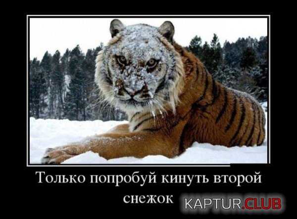 1382082822_demotivatory_06.jpg | Рено Каптур Клуб Россия | Форум KAPTUR.SU