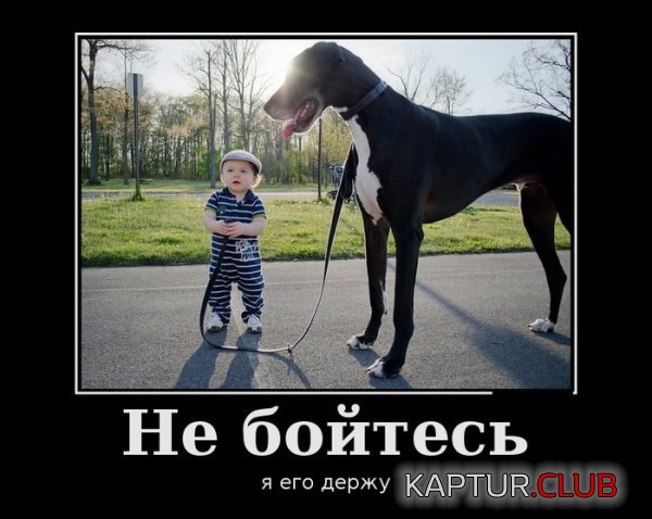 1382429158_demotivatory_22.jpg | Рено Каптур Клуб Россия | Форум KAPTUR.SU