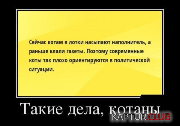 1383548063_demotivatory_07.jpg | Рено Каптур Клуб Россия | Форум KAPTUR.SU