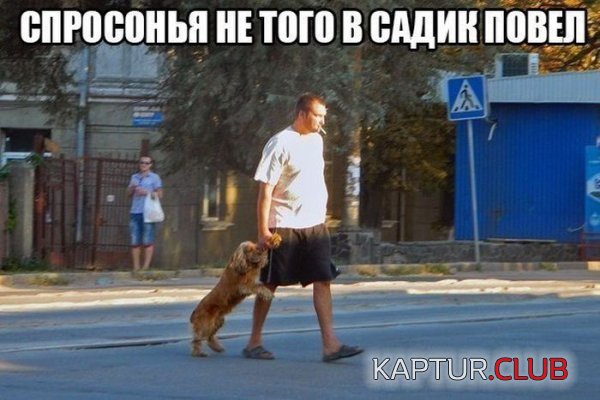1383548471_podb_01.jpg | Рено Каптур Клуб Россия | Форум KAPTUR.SU