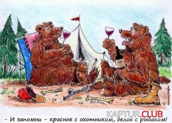 1383548588_podborka_29.jpg | Рено Каптур Клуб Россия | Форум KAPTUR.SU