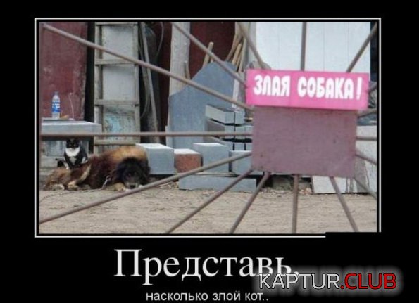 1383823424_demotivatori_16.jpg | Рено Каптур Клуб Россия | Форум KAPTUR.SU