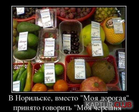 1383893802_demotivatory_30.jpg | Рено Каптур Клуб Россия | Форум KAPTUR.SU
