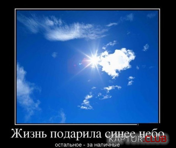 1384162314_demotivatory_20.jpg | Рено Каптур Клуб Россия | Форум KAPTUR.SU