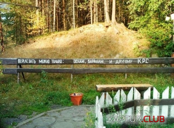 1384245710_marazm_16.jpg | Рено Каптур Клуб Россия | Форум KAPTUR.SU