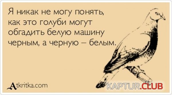 1384501802_atkritka_01.jpg | Рено Каптур Клуб Россия | Форум KAPTUR.SU