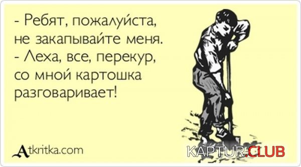 1384501814_atkritka_05.jpg | Рено Каптур Клуб Россия | Форум KAPTUR.SU