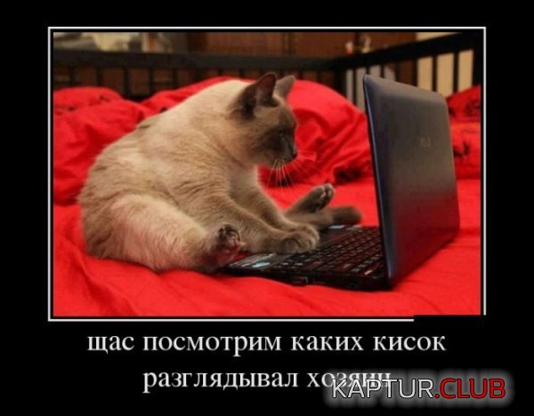 1385713391_demotivatory_14.jpg | Рено Каптур Клуб Россия | Форум KAPTUR.SU