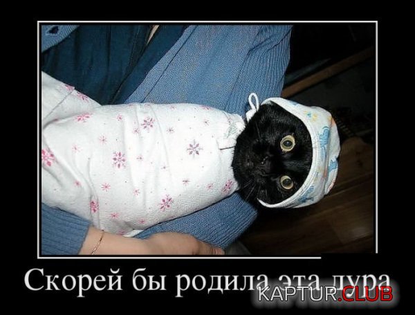 1385973846_demotivatiry_10.jpg | Рено Каптур Клуб Россия | Форум KAPTUR.SU