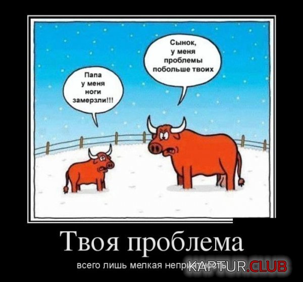 1386319269_demotivatory_29.jpg | Рено Каптур Клуб Россия | Форум KAPTUR.SU