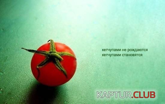 1386319556_podb_02.jpg | Рено Каптур Клуб Россия | Форум KAPTUR.SU