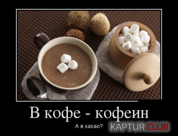 1386580128_demotivatory_09.jpg | Рено Каптур Клуб Россия | Форум KAPTUR.SU