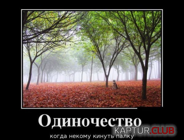 1386580196_demotivatory_03.jpg | Рено Каптур Клуб Россия | Форум KAPTUR.SU