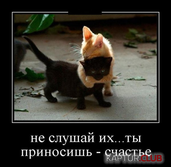 1386752131_demotivatory_03.jpg | Рено Каптур Клуб Россия | Форум KAPTUR.SU