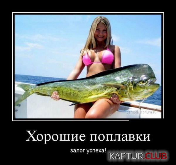 1387361032_demotivatory_10.jpg | Рено Каптур Клуб Россия | Форум KAPTUR.SU