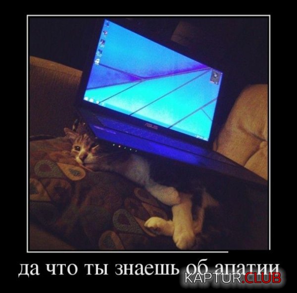 1388391377_demotivatory_14.jpg | Рено Каптур Клуб Россия | Форум KAPTUR.SU