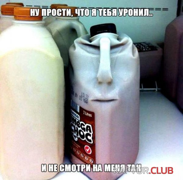 1389341529_auto_prikol_02.jpg | Рено Каптур Клуб Россия | Форум KAPTUR.SU