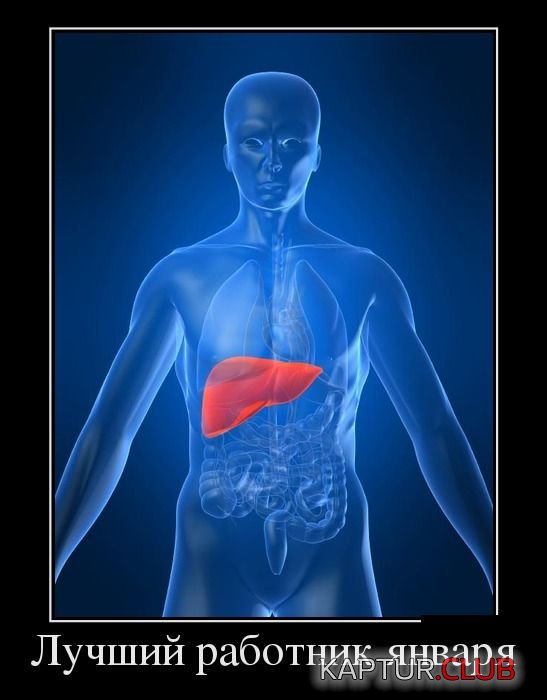 1389604268_demotivatory_03.jpg | Рено Каптур Клуб Россия | Форум KAPTUR.SU