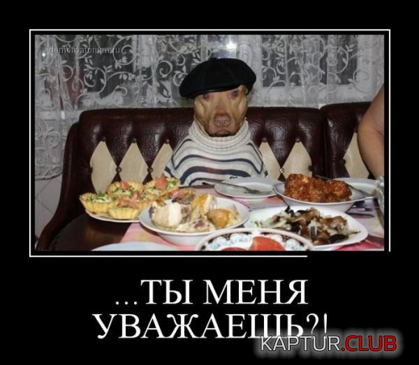 1389777969_demotivatory_05.jpg | Рено Каптур Клуб Россия | Форум KAPTUR.SU