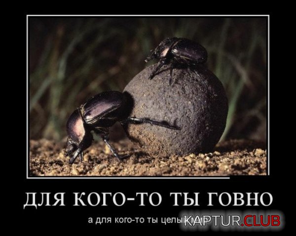 1390210375_demotivatory_07.jpg | Рено Каптур Клуб Россия | Форум KAPTUR.SU