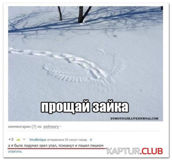 1390294990_prikoli_socialnih_setey_02.jpg | Рено Каптур Клуб Россия | Форум KAPTUR.SU