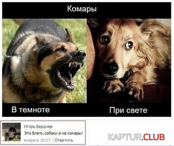 1390295000_prikoli_socialnih_setey_14.jpg | Рено Каптур Клуб Россия | Форум KAPTUR.SU