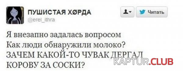 1390295089_prikoli_socialnih_setey_29.jpg | Рено Каптур Клуб Россия | Форум KAPTUR.SU