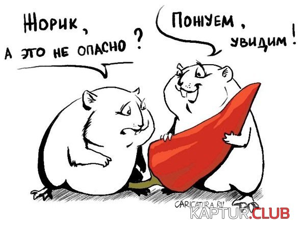1390453942_12959.jpg | Рено Каптур Клуб Россия | Форум KAPTUR.SU