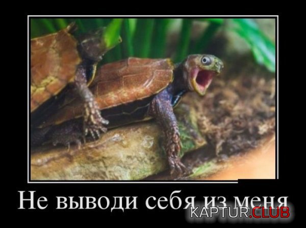 1390812939_demotivatory_09.jpg | Рено Каптур Клуб Россия | Форум KAPTUR.SU