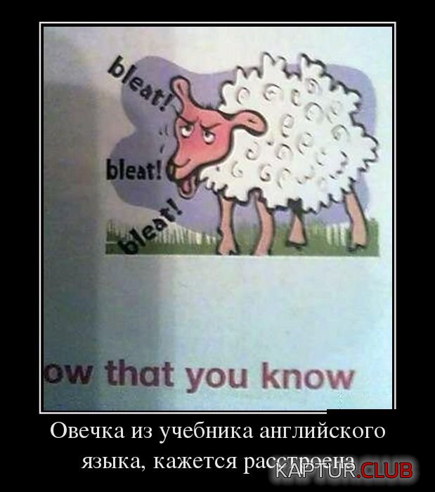 1391422915_demotivatory_26.jpg | Рено Каптур Клуб Россия | Форум KAPTUR.SU