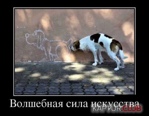 1391503283_demotivatory_12.jpg | Рено Каптур Клуб Россия | Форум KAPTUR.SU